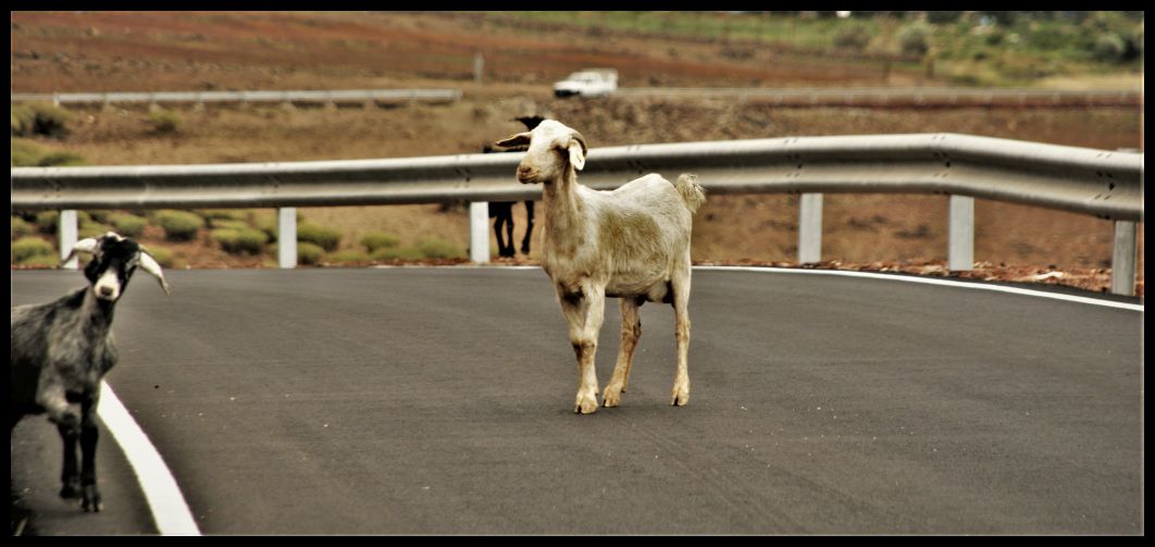 Retusche und Manipulation von pixeln