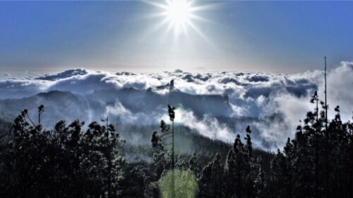 web-canaria-roque-nublo