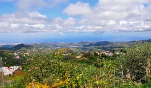 web-canaria-norden9