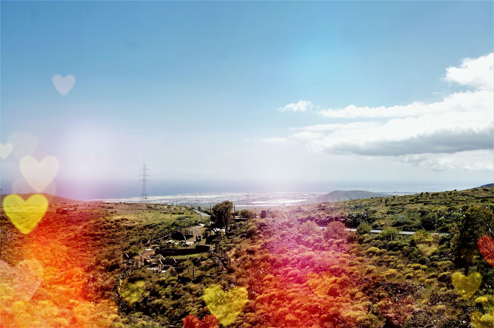 web-canaria-fotografie