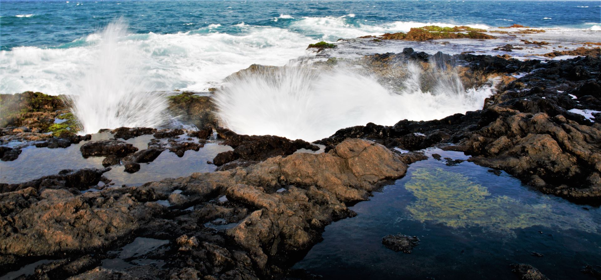 web-canaria-fotografie