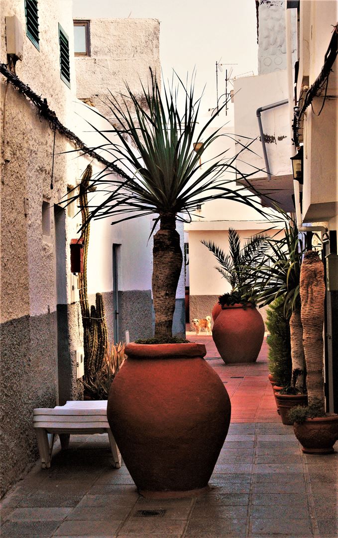 web-canaria-fotografie