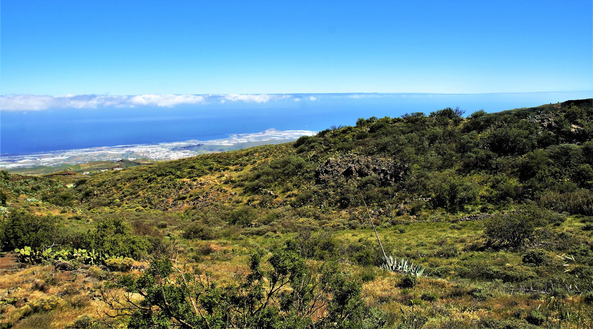 web-canaria-fotografie