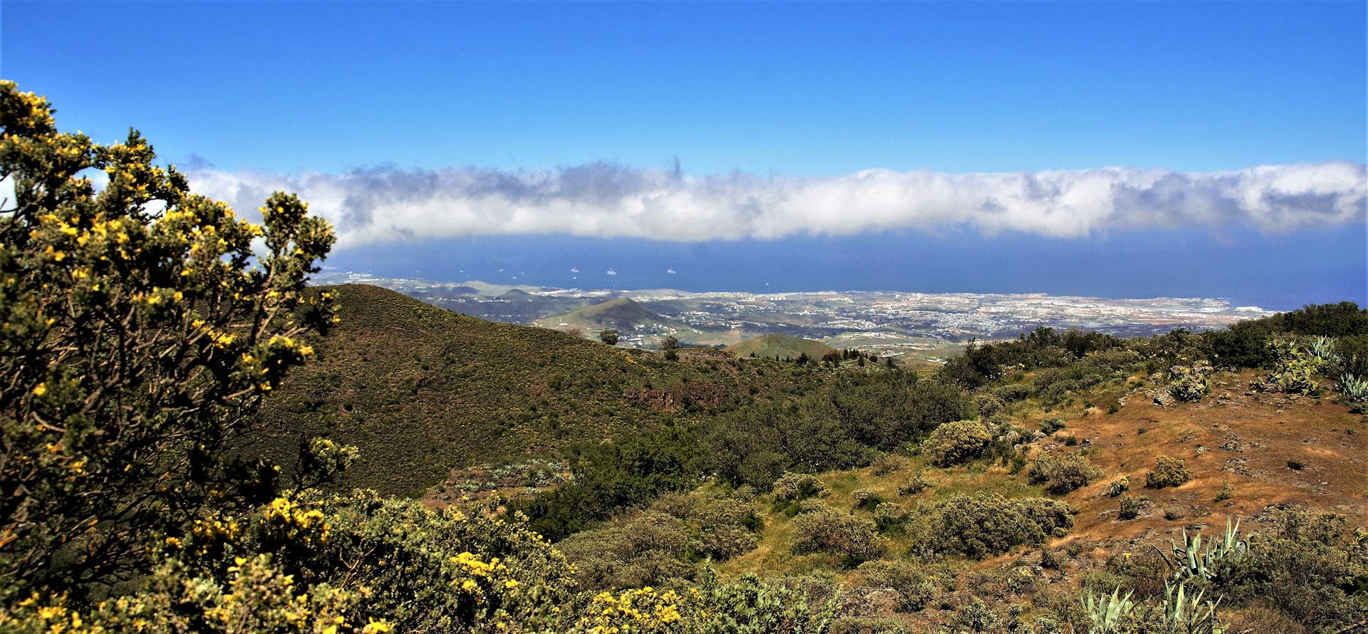 web-canaria-fotografie
