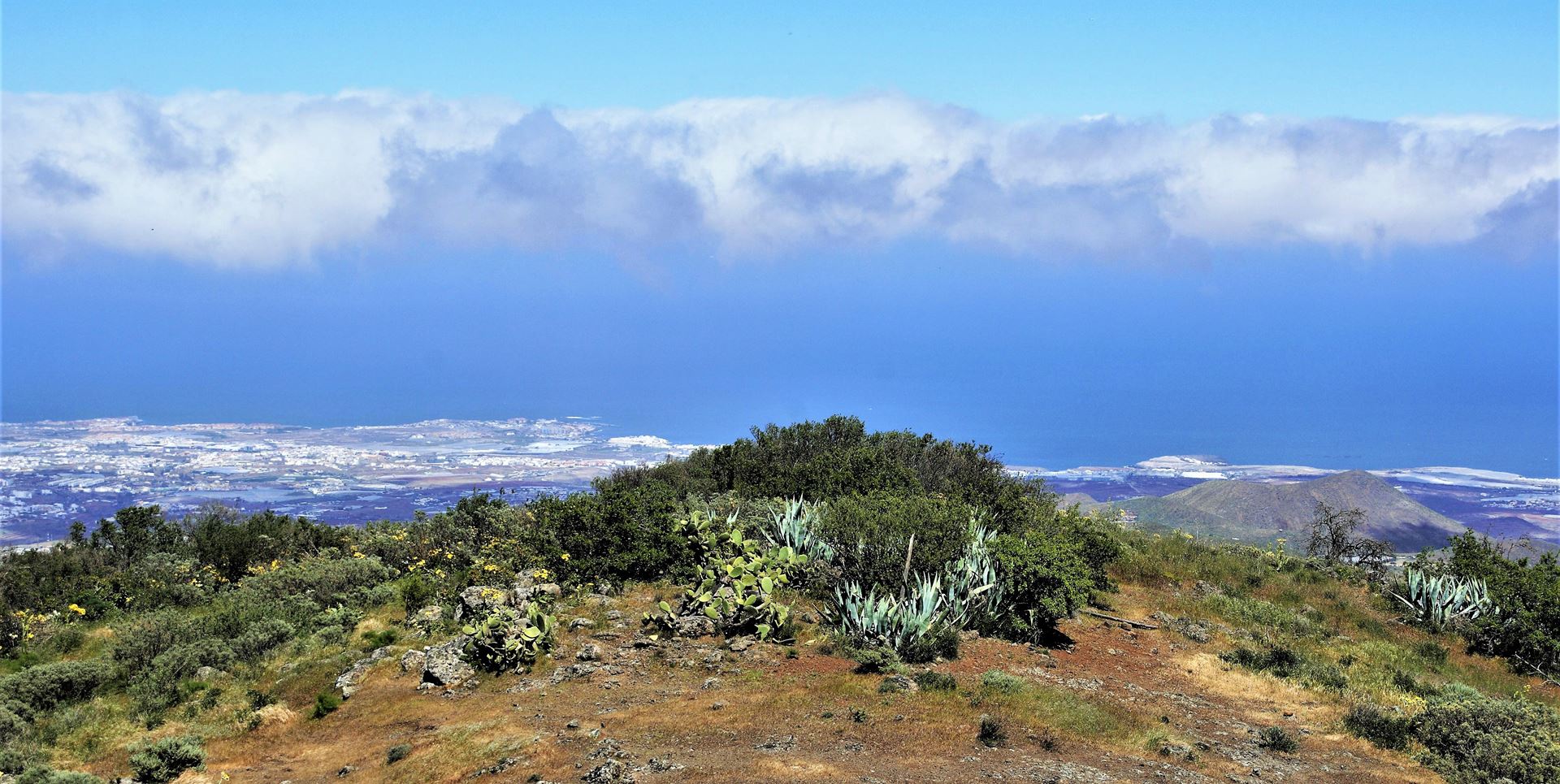 web-canaria-fotografie