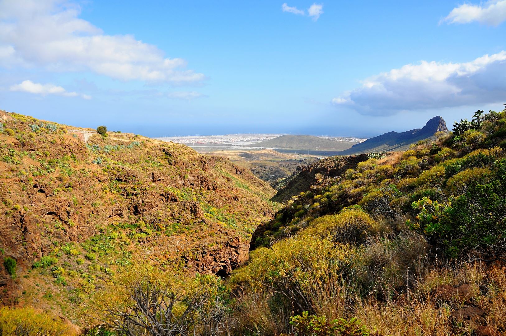 web-canaria-fotografie
