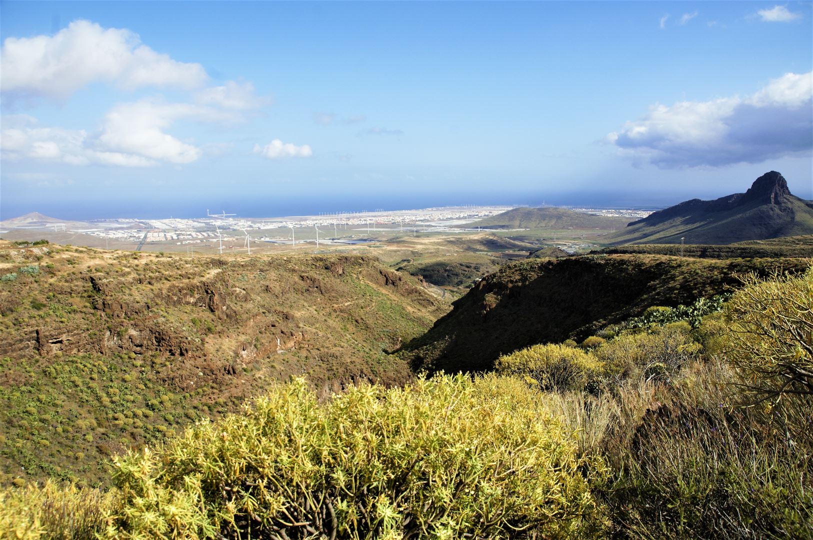 web-canaria-fotografie