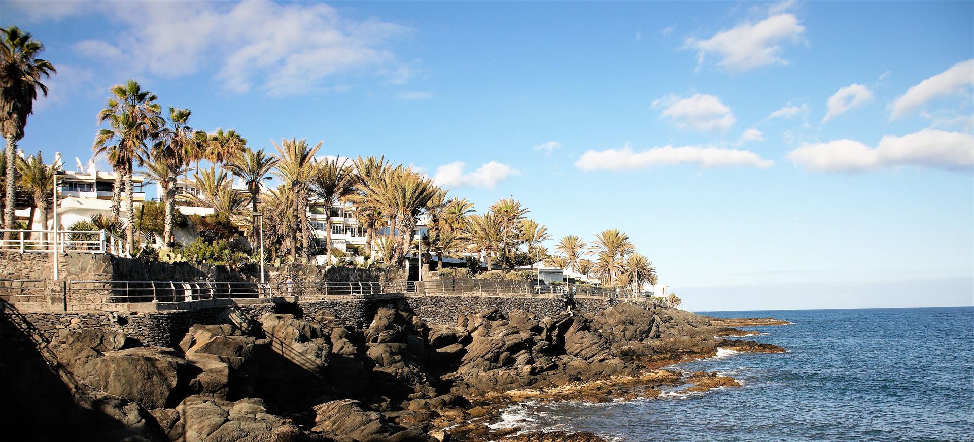 web-canaria-fotografie